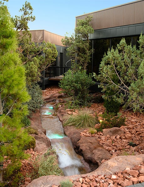 Ambiente Creek